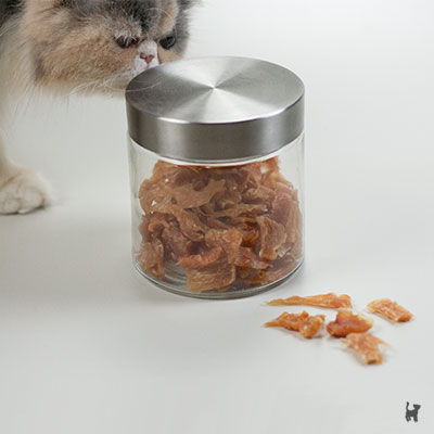 Katze riecht an Dose mit Trockenfleisch