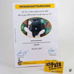 Patenschaftsurkunde für Kater "Mio" aus dem Tierheim München