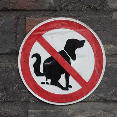 Schild "Kein Hundeklo"