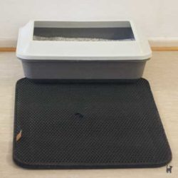 Pfotenolymp Katzenstreumatte vor unserer Katzentoilette