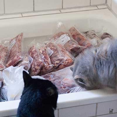 Fleischverpackungen in der Duschwanne