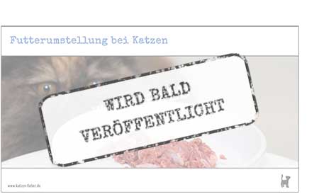 Das Webinar "Futterumstellung bei Katzen" erscheint bald Screenshot Webinar "Futterumstellung bei Katzen"