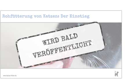 Das Webinar "Rohfütterung von Katzen: Der Einstieg" erscheint bald Screenshot Webinar "Rohfütterung von Katzen: Der Einstieg"