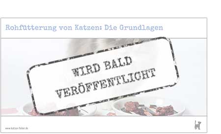 Das Webinar "Rohfütterung von Katzen: Die Grundlagen" erscheint bald Screenshot Webinar "Rohfütterung von Katzen: Die Grundlagen"