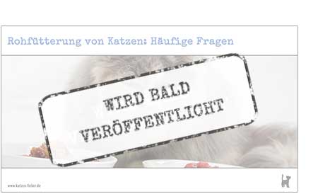 Das Webinar "Rohfütterung von Katzen: Häufige Fragen" erscheint bald Screenshot Webinar "Rohfütterung von Katzen: Häufige Fragen"