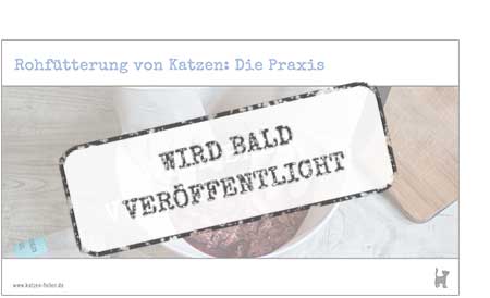Das Webinar "Rohfütterung von Katzen: Die Praxis" erscheint bald Screenshot Webinar "Rohfütterung von Katzen: Die Praxis"