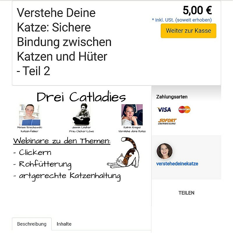 Katrins zweites Webinar im elopage-Shop