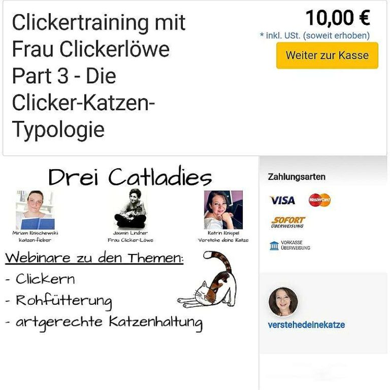Jasmins Webinar "Die Clicker-Katzen-Typologie" im elopage-Shop
