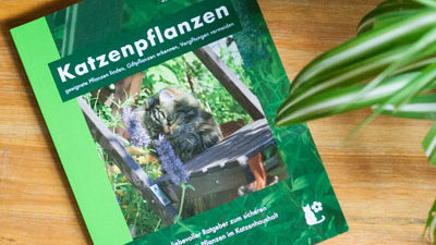 Cover des Buchs "Katzenpflanzen" von Sabine Ruthenfranz