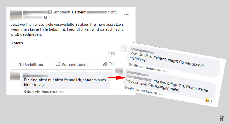 Daher weht der Wind: kein Gassigänger geworden, also das Tierheim beschimpfen Screenshot beleidigende Kritik an Tierheim