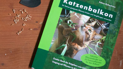 Cover des Buchs "Katzenbalkon"