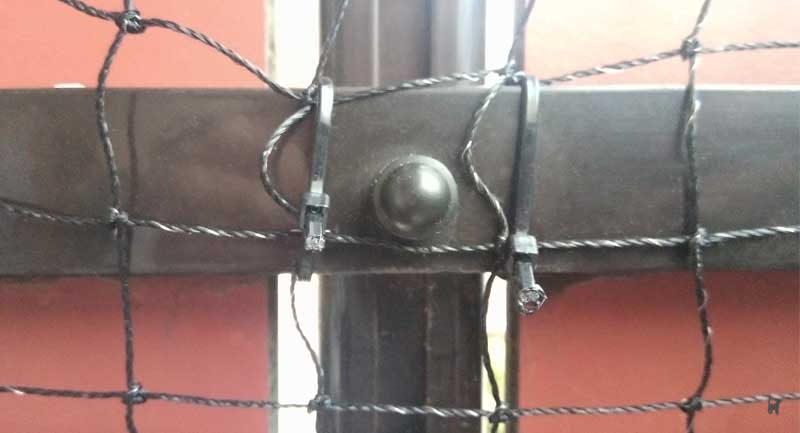 Gekürzte Kabelbinder halten das Katzennetz am Balkongeländer