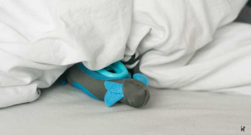 Hunting Feeder Intelligenzspielzeug halb unter der Bettdecke versteckt