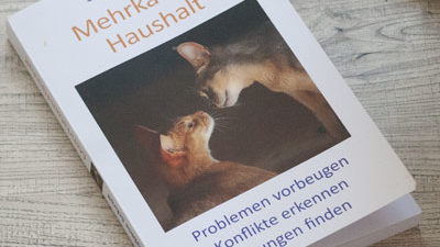 Das neue Buch von Sabine Schroll "Mehrkatzenhaushalt"