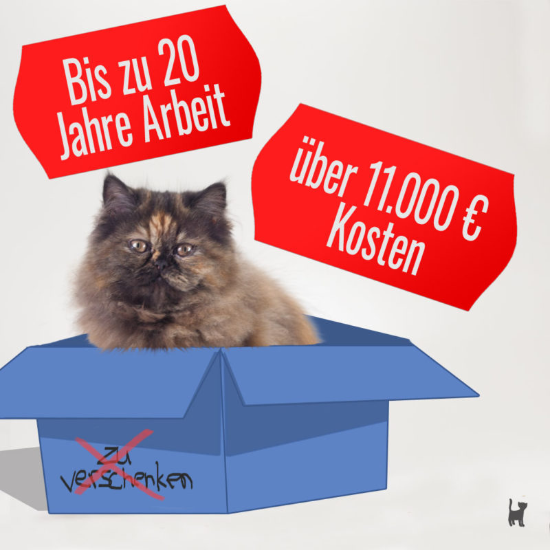 Die Kosten für ein Tier bestehen nicht nur aus seinen Anschaffungskosten - denn da beginnt es erst