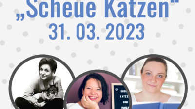 Live-Webinar "Scheue Katzen" - Jetzt anmelden!