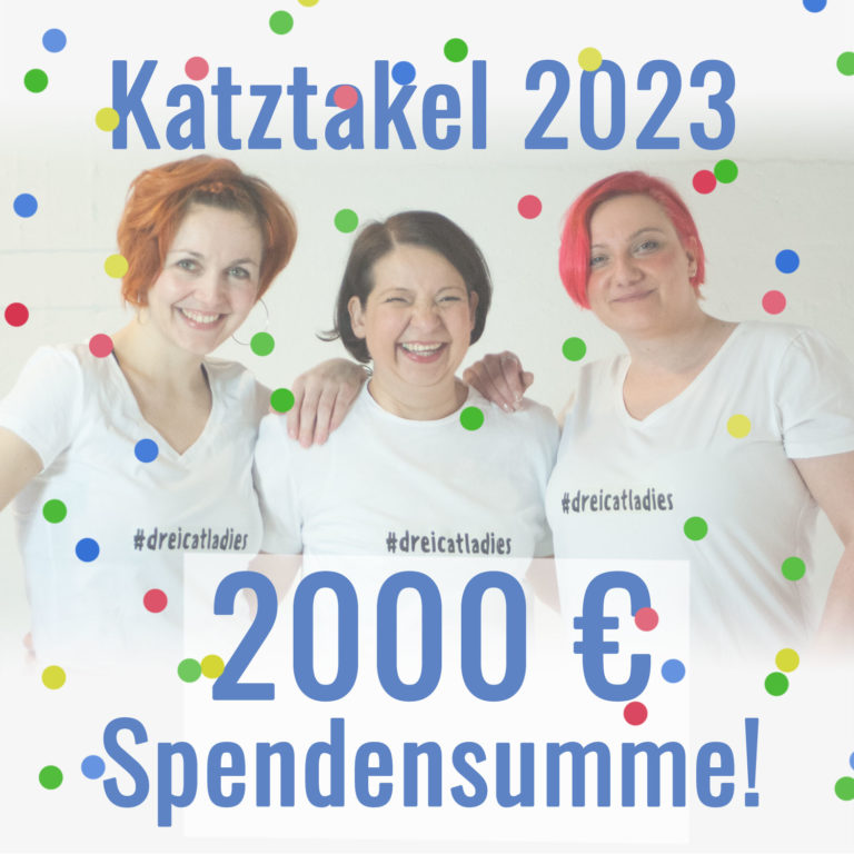 katztakel-2000euro-spendensumme