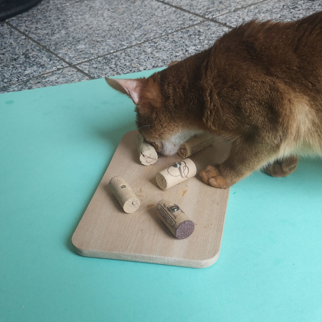 Katze frisst aus selbstgemachten Fummelbrett aus Holzbrett und Korken