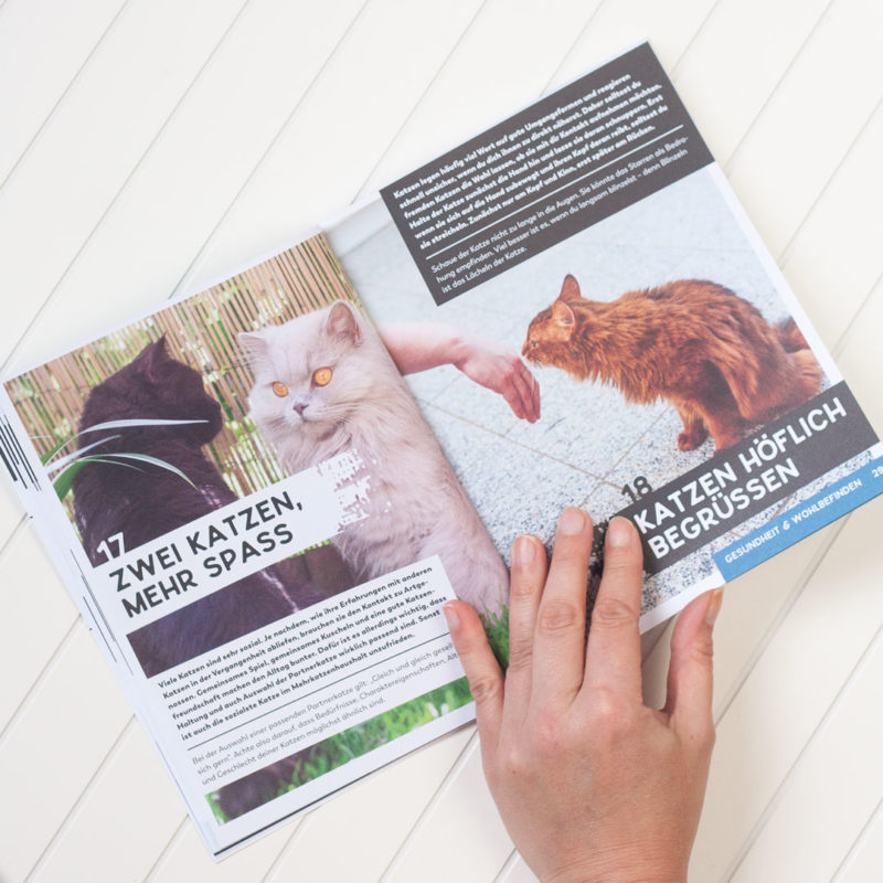 Einblick ins Buch: Informationen über Mehrkatzenhaltung und die höfliche Begrüßung von Katzen