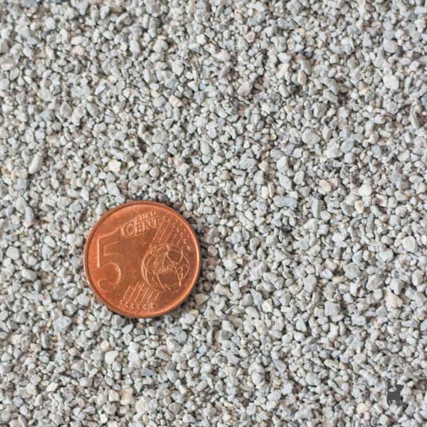 5-Cent-Münze im Katzenstreu zum Größenvergleich